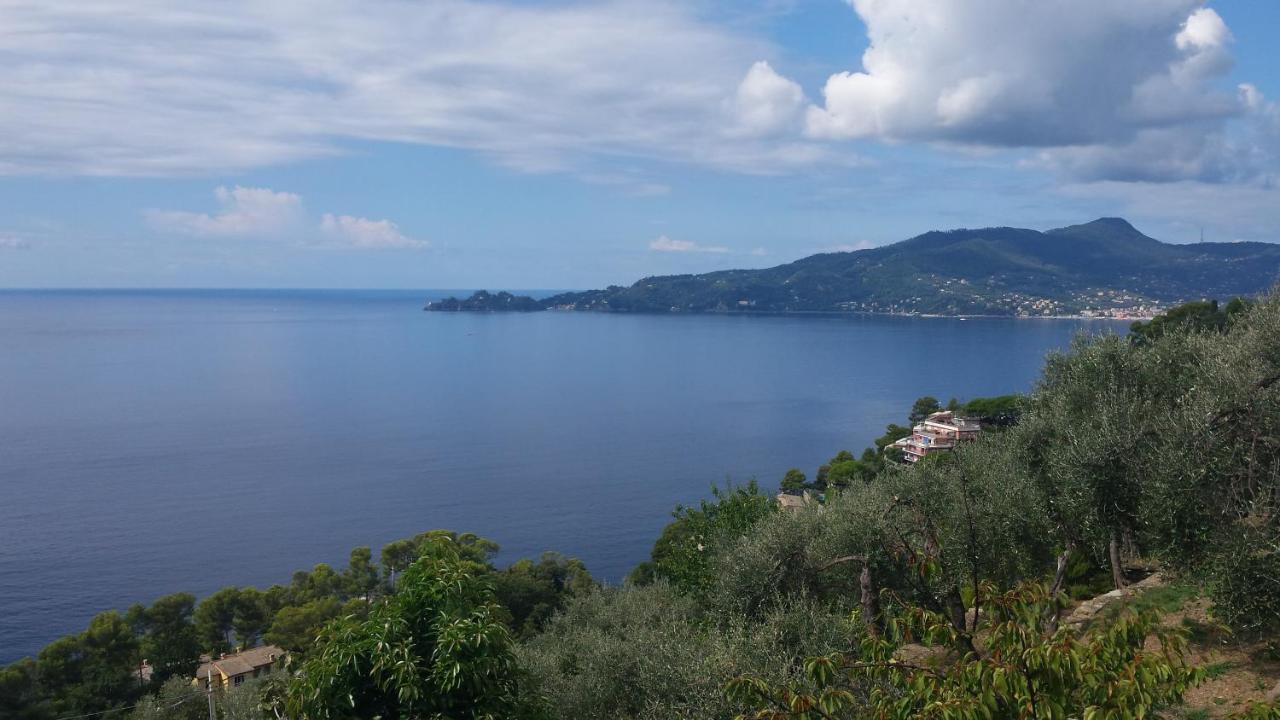 Mare E Vista Portofino - Sea And Portofino View זואליי מראה חיצוני תמונה
