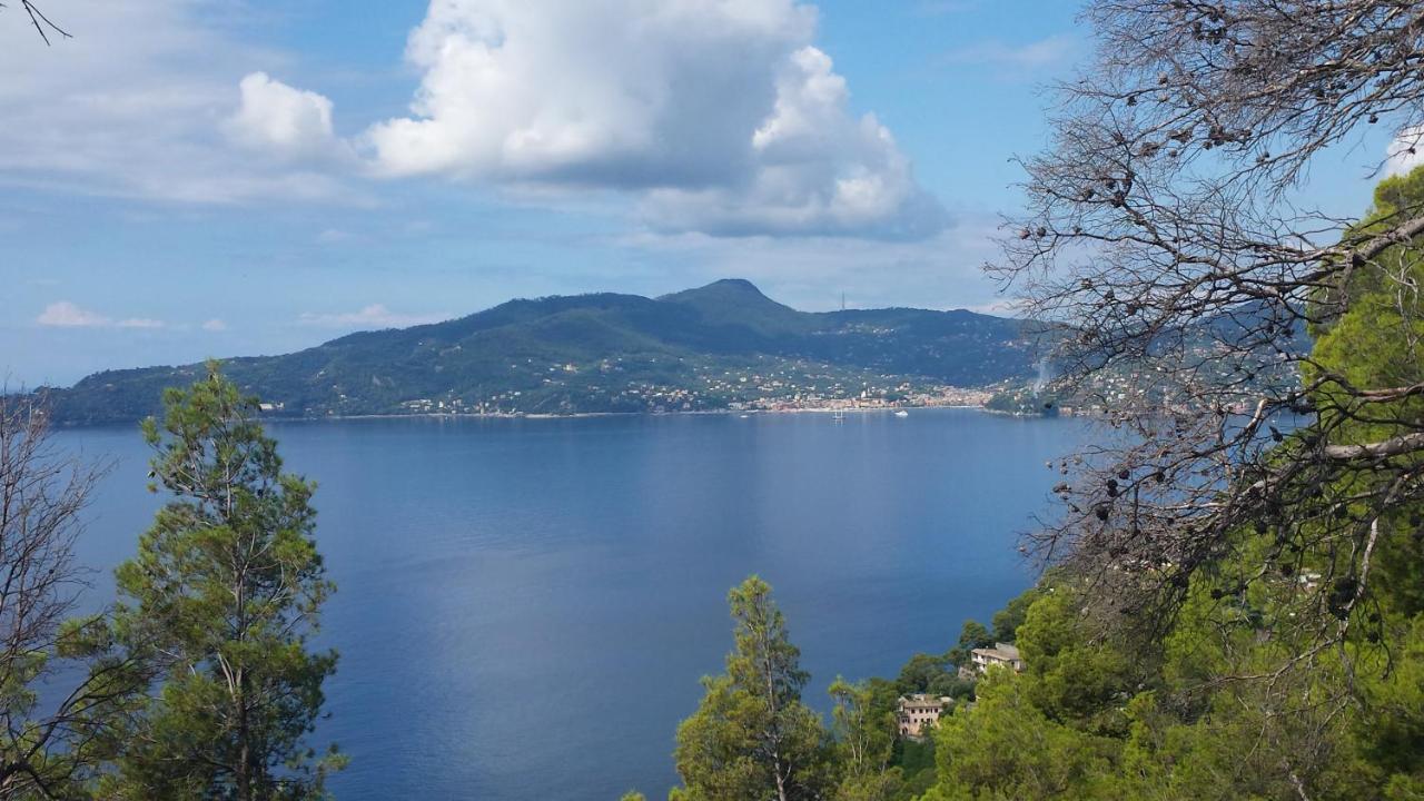Mare E Vista Portofino - Sea And Portofino View זואליי מראה חיצוני תמונה