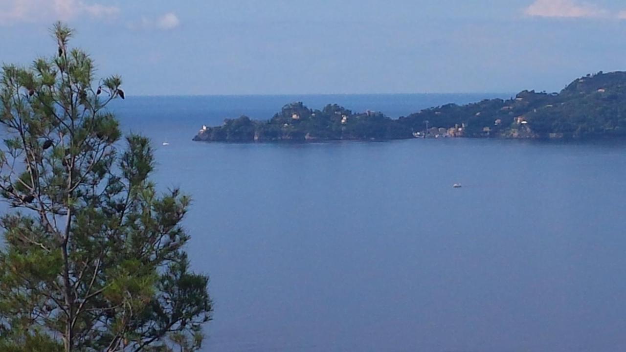 Mare E Vista Portofino - Sea And Portofino View זואליי מראה חיצוני תמונה